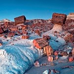 Red petrified logs sit on top of white stone.