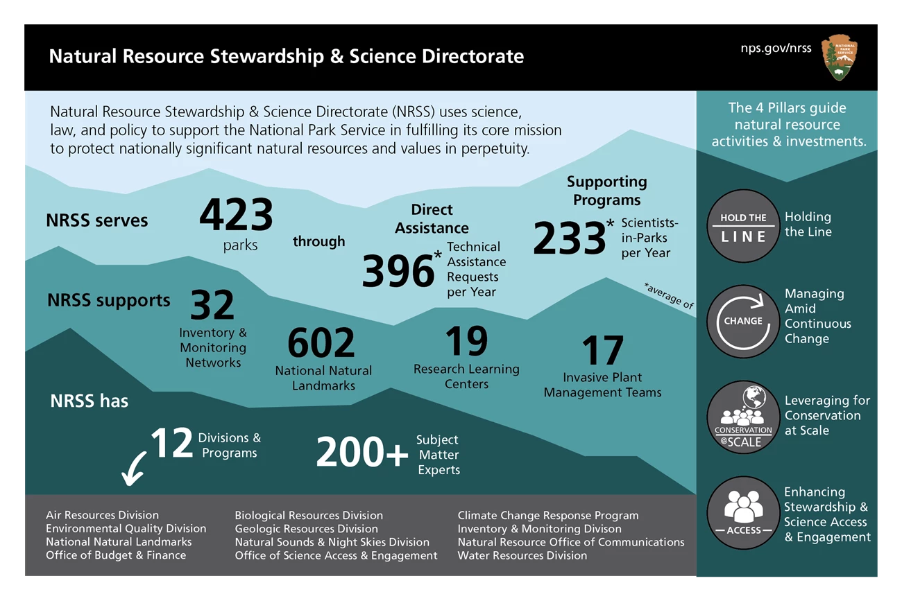 a graphic detailing information about the NRSS Directorate, a detailed description is available below