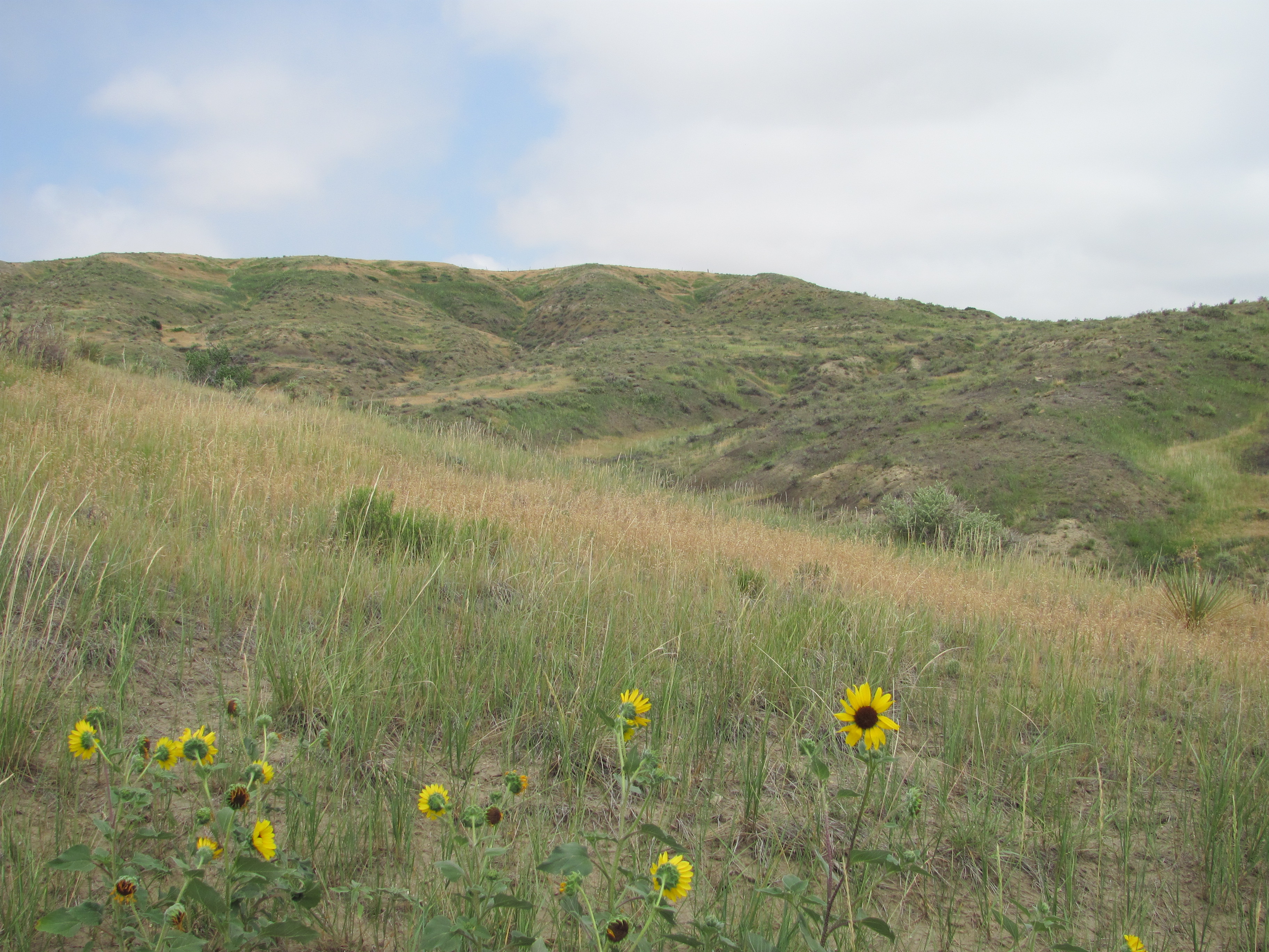 West Bijou Site NNL