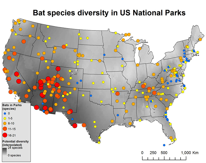 Map showing bat species diversity in US National Parks