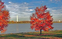 GWMP Fall Scene GWMP Fall Scene