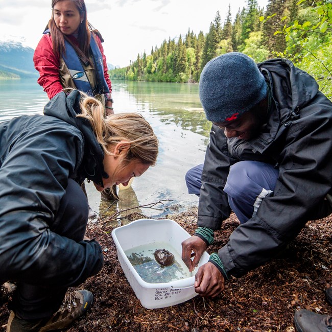 two people examine the contents of a bucket near a lake