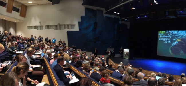Arctic Biodiversity Conference Conference attendees watch a PowerPoint presentation.