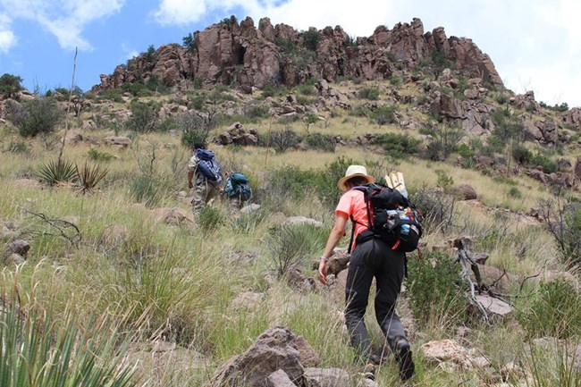 2018 - IVIP - Sonoran Desert Network 4 Hiking in the Sonoran Desert.