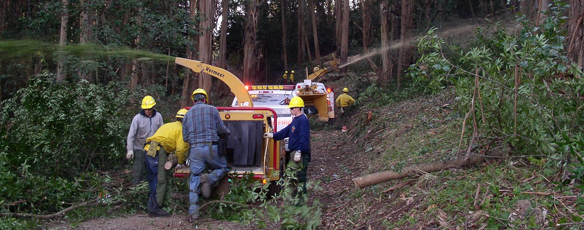 Workers use a chipping machine for removing fuels from a wildfire area