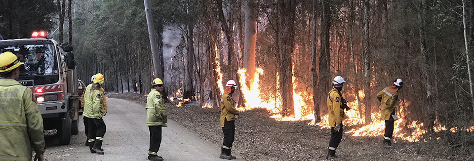 Australian firefighters monitor a fire in a forest from a road.
