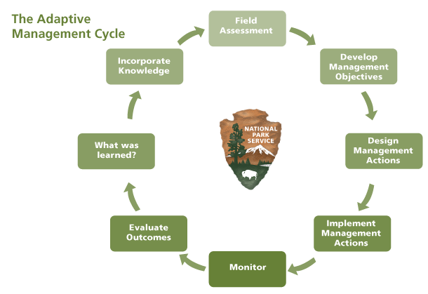 Fire effects monitoring adaptive management flow chart