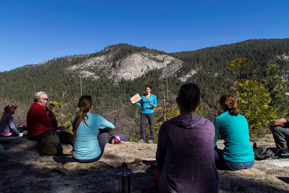 Staff and partners learn about wilderness outside.