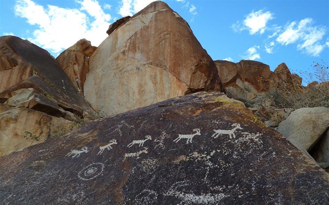 Petroglyphs displayed on rocks in the mountains.