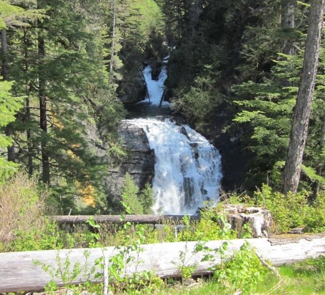 Falls Creek - two tiered waterfall in wooded setting