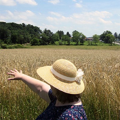 A field brought back to day-of battle conditions at Gettysburg battlefield Woman in sun hat gestures over wheat field, trees and road in distance
