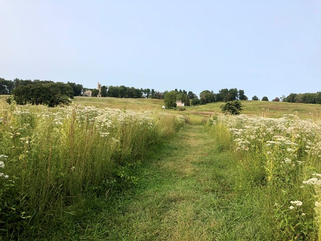 A trail cut into a tall grass field leads to a building nestled in the distant hills.