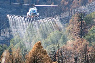 lt= Plane dispersing herbicide into the forest