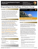 Thumbnail preview of first page of CCRP brief Thumbnail preview of first page of CCRP brief