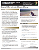 Thumbnail preview of first page of Coastal Adaptation brief Thumbnail preview of first page of Coastal Adaptation brief