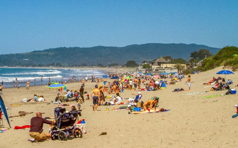 people on a beach