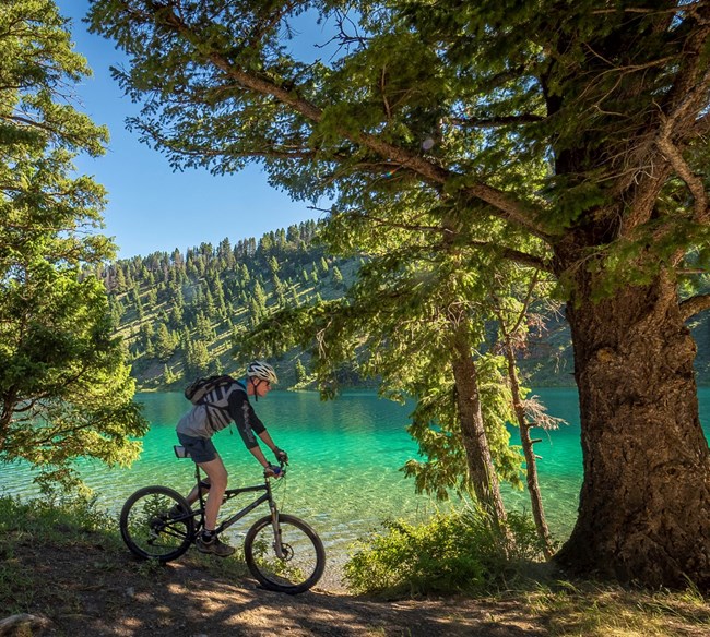 A biker rides down a dirt trail with trees alongside a clear water river on a sunny day.