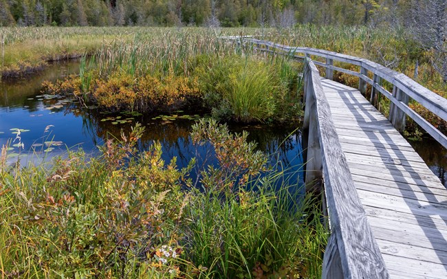 A wooden pedestrian bridge passes over a creek and tall green shrubbery.