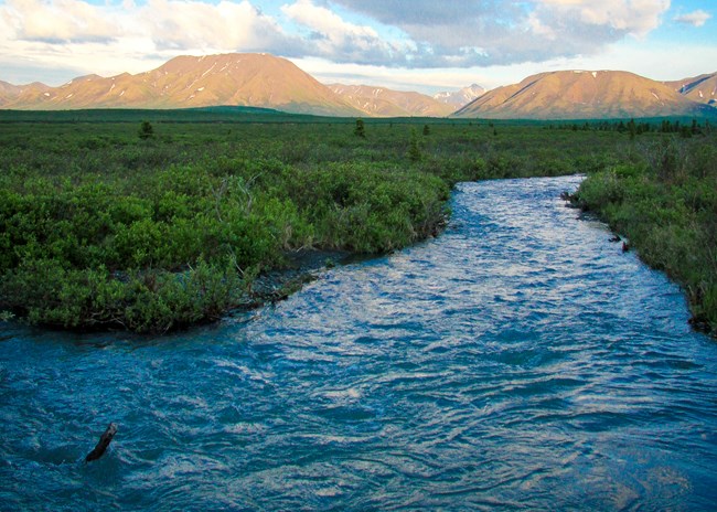 A blue river flows through greenery with distant hills and a blue cloud-filled sky.