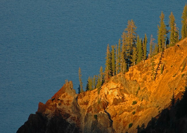 A cliffside with tall pine trees is illuminated by a setting sun with a vast ocean behind it.