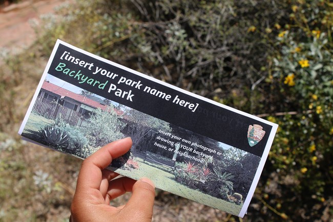 Hand holds out a Backyard Park brochure.