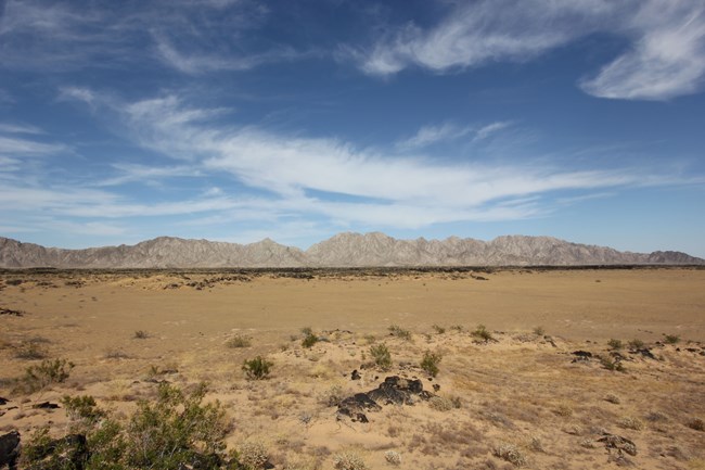 A barren landscape of beige earth and some yellow-green shrubs in front of a gray mountain, under a blue sky with some wispy clouds.