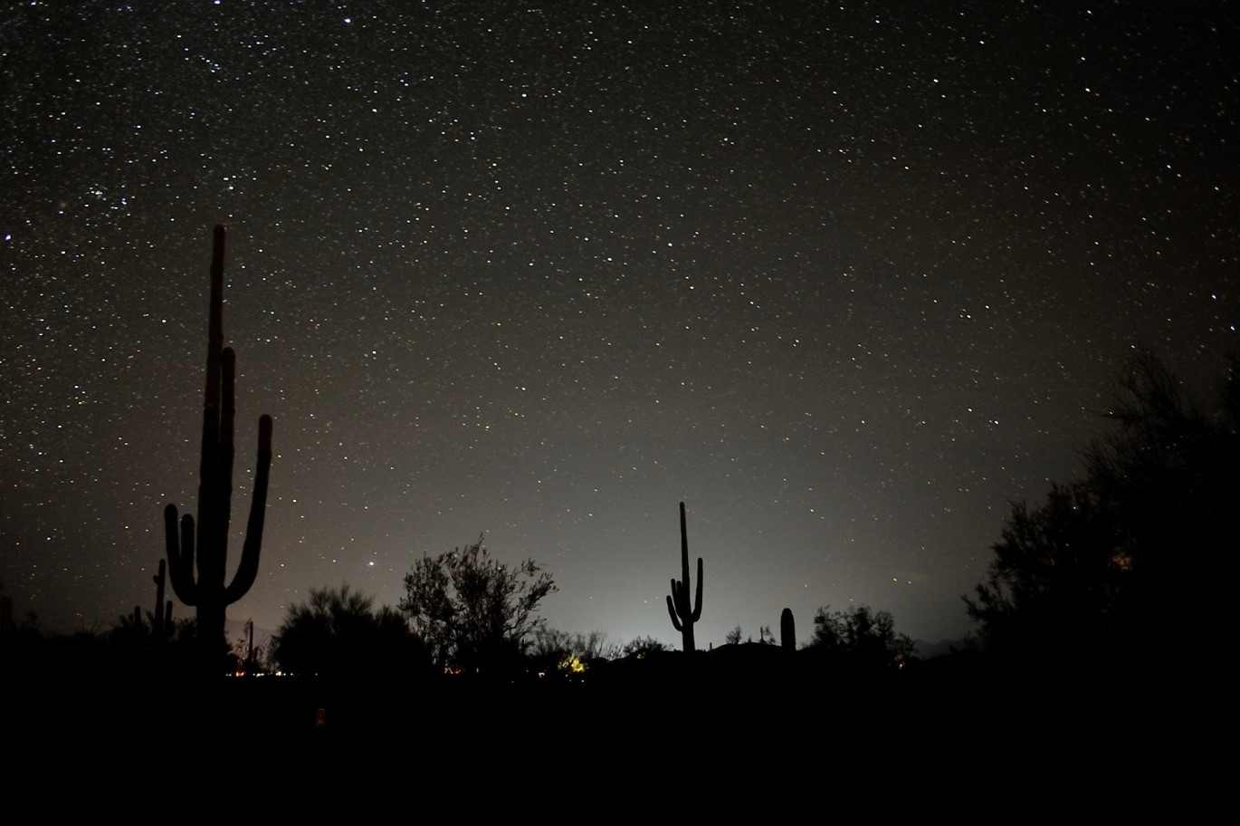 Dark Sky - Organ Pipe Cactus National Monument (U.S. National Park