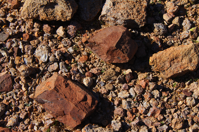 Rhyolite Rocks Dusty-red, smooth pieces of rhyolite on gravel.