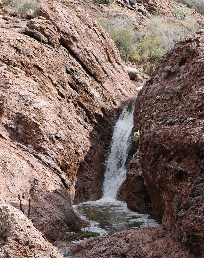 A small waterfall running down crevices in a reddish rock formation. The waterfall ends in a pool of water in a tinaja.