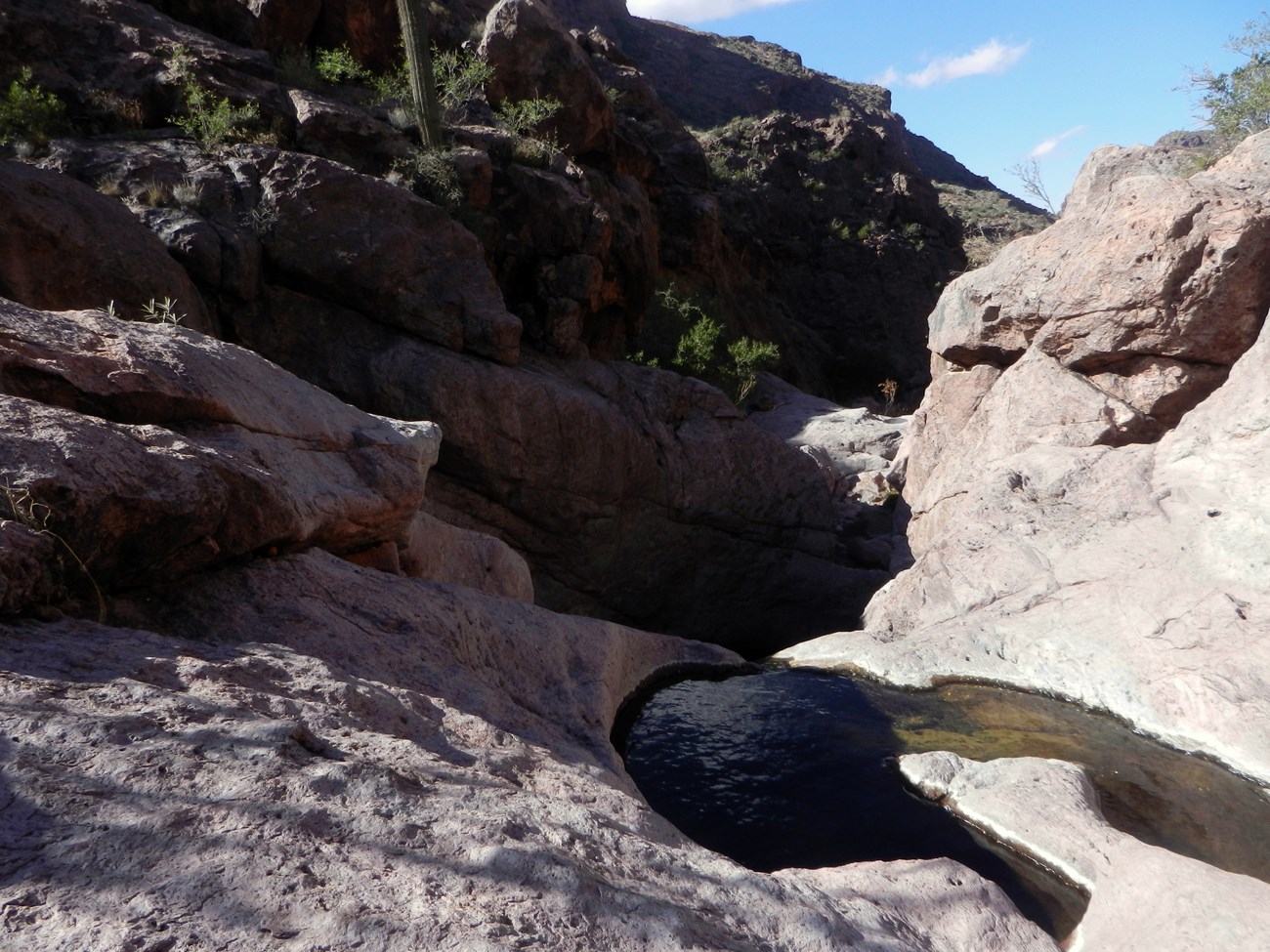 A natural stone basin filled with water.