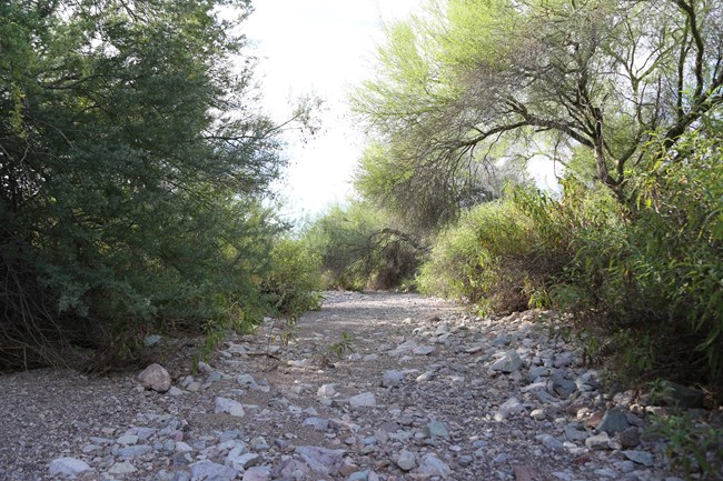 A shallow, barren wash with sand and gravel lining the bottom.