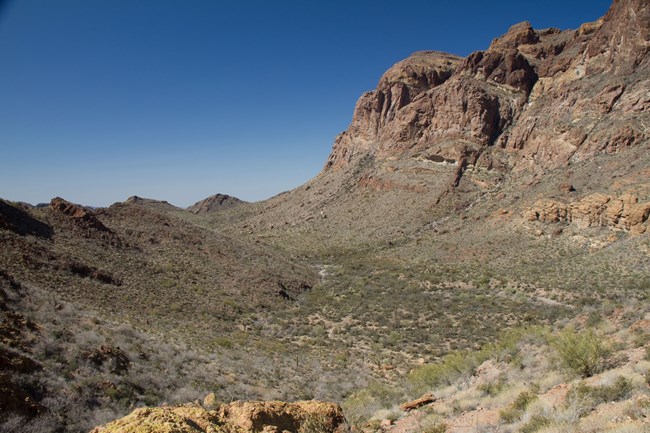 A view of a bajada sloping form a valley floor to a mountain.