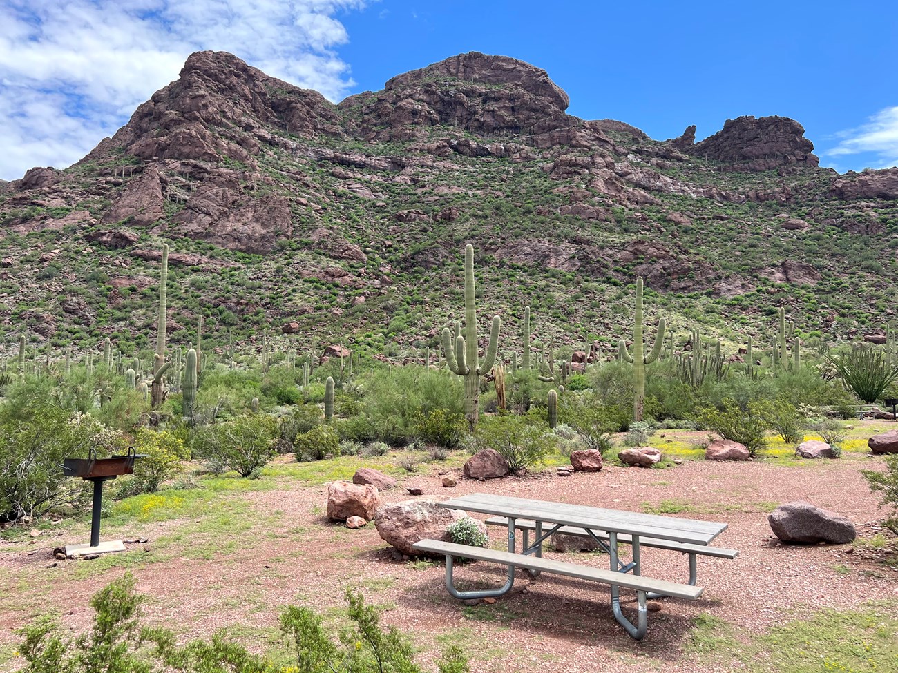 The picnic table at Alamo Campground site two sits in front of a beautiful mountain