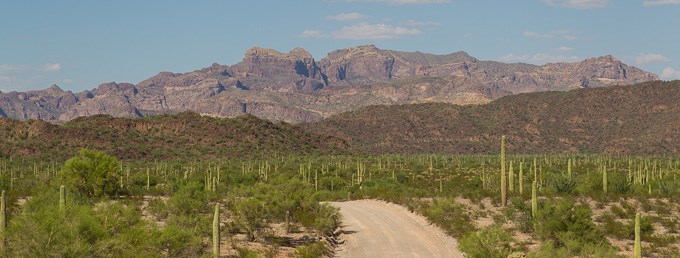 Ajo Mountain Drive