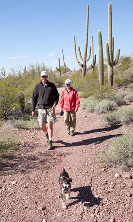 Pets are welcome in certain areas of Organ Pipe Cactus National Monument
