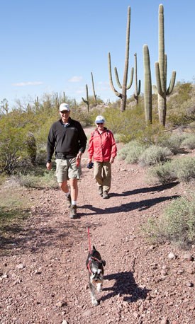 Pets are welcome in certain areas of Organ Pipe Cactus National Monument Pets are welcome in certain areas of Organ Pipe Cactus National Monument