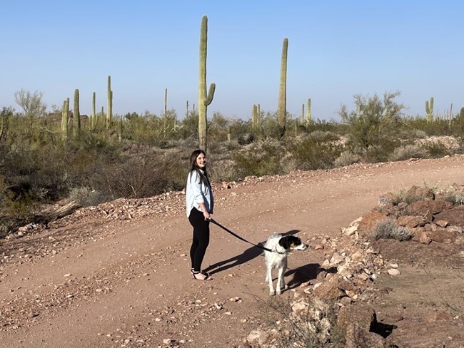 A woman walks her dog along a road with a leash.