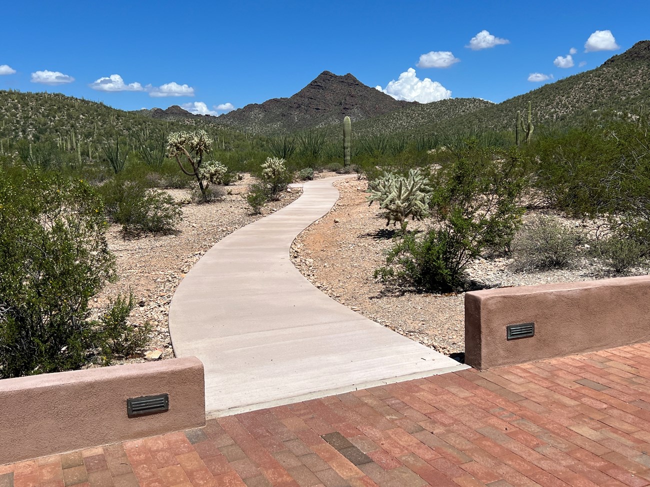 The accessible portion of the Campground Perimeter Trail at Twin Peaks Campground.