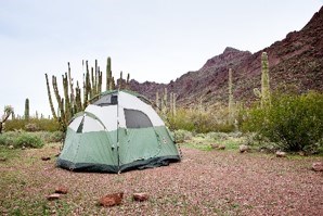tent in front of cacti at alamo canyon