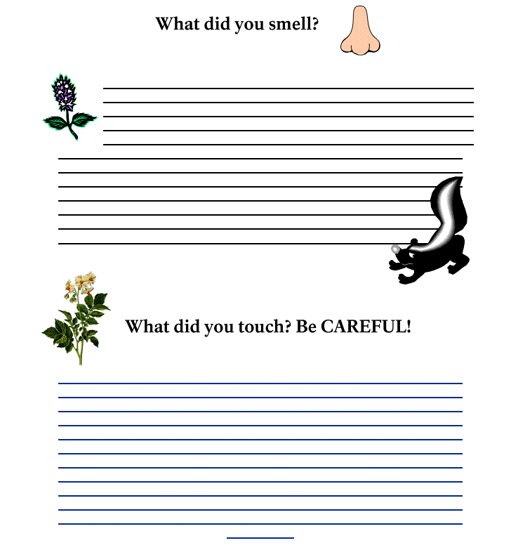 Drawings of a nose,purple flower, skunk and yellow flower.