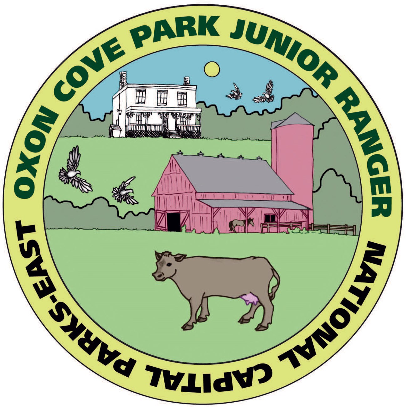 junior ranger patch