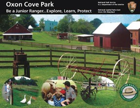 front page of junior ranger book