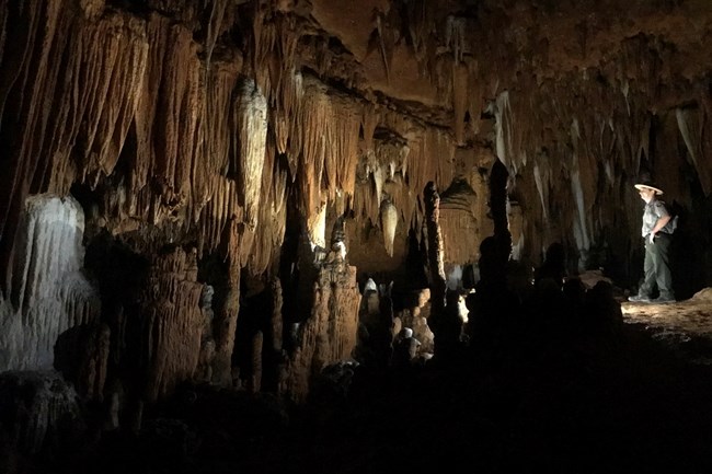 inside round spring cave with park ranger standing on trail overlooking brown, black and white cave formations