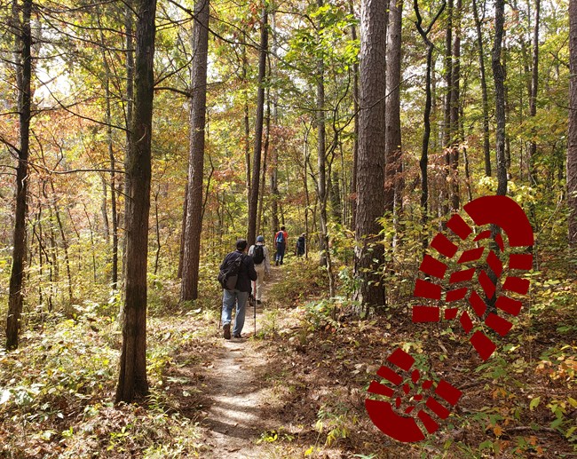 a group of hikers on a trail in the forest during the fall, vibrant leaves are on trees. A large superimposed boot print in red is to the right on the color picture.