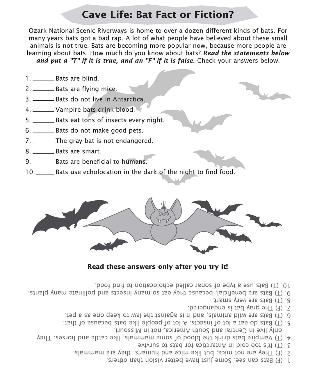 page from junior ranger book