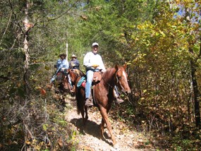 Riders enjoying a ride