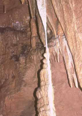 Featured image of post How Are Stalagmites Formed - Which are the most important stalactites in the world?
