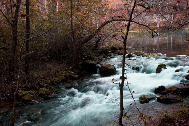 Alley Spring Branch flowing with fall colors in background Alley Spring Branch flowing with fall colors in background