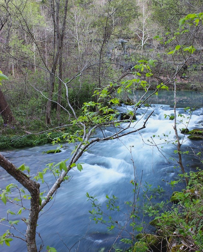 Alley Spring Branch looking towards the outlet