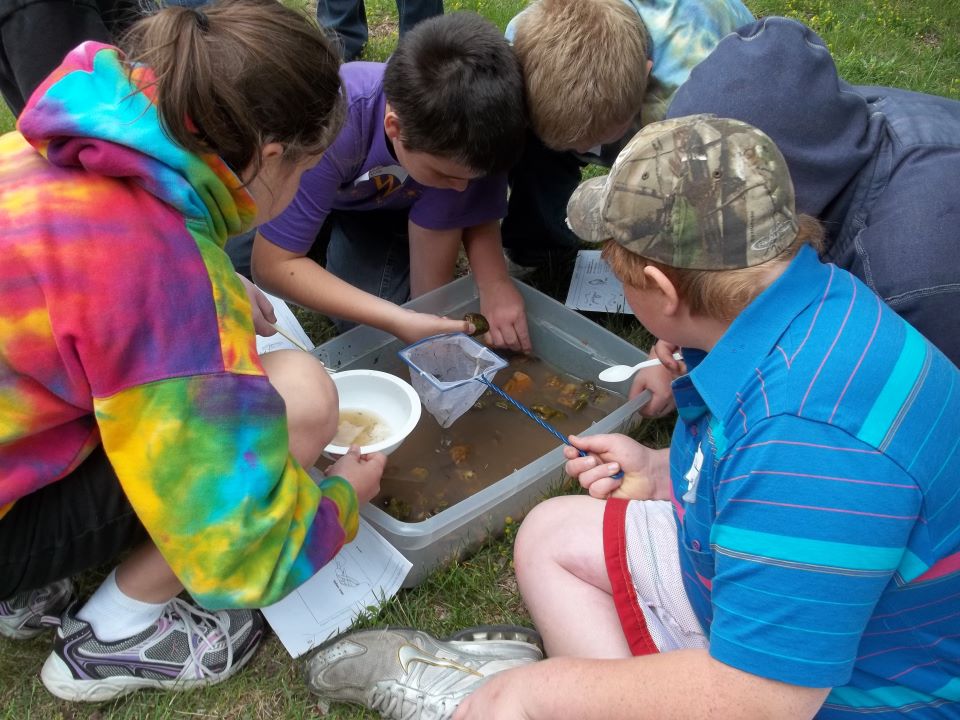 Students look at aquatic organisms